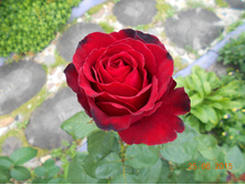 DSCN0841.JPG
