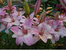 DSCN1131.JPG