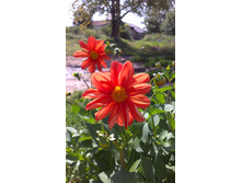 ������ 2015�.