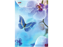 ���������� �������������� �5 136�., 7�� Vanilla 66,2.jpg