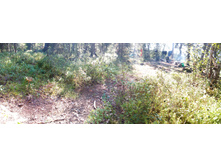 IMG 20150819 125858.jpg