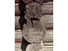 IMG 20150809 135319.jpg