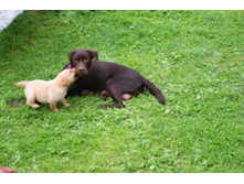 ����� ������ � �����