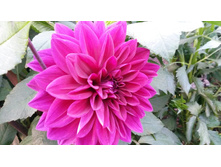 № 6 ����� ������.jpg