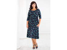 �������: fg 6301 2488 ���