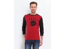 ��������TSSPL0111CE ���� 570 �..jpg