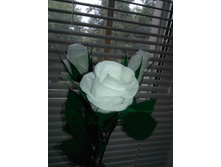 ������� � ���������