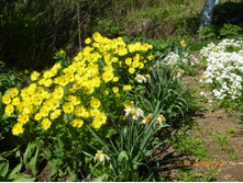 P1030953.JPG���������