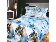 9622-1 Vozhak s kompanonom.jpg