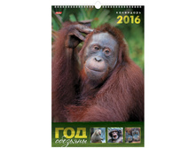 ��������� ������. �������. �� ������ ����- ��� ��������, 30-45 ��, � �������, 2016 �. 99,6.jpg