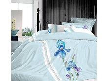 ��� ������ ����� � �������� ES-11.jpg