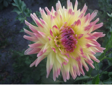 №21������ ����.jpg