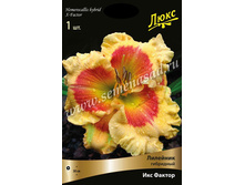 �������� ��� ������.jpg