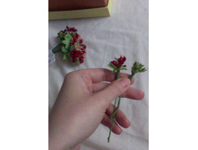 IMAG1210 BURST002 1.jpg