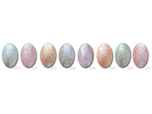 �������! �� ����������