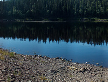 IMG 20150821 104407.jpg