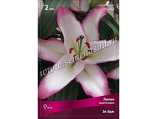 ����� �� ���.jpg