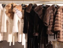 1368392538 case-fur 0.jpg