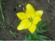 ���� 2015�. ����� ������ �����