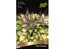 ����� ���� ��������.jpg