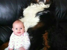 ������� � ���)