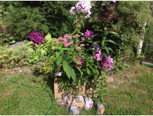 ������ ����������� ������� ......� ������� ....