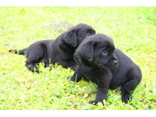 ������� №2 � №3