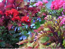 DSCN4258.JPG
