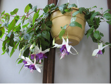 ������ ��� У��