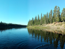 IMG 20150820 171101.jpg