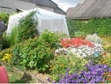 16.08.2015 P8160170.JPG