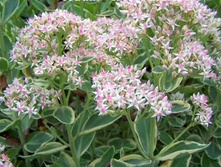 ������ ������ ������ ���.120�