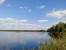 IMG 20150822 131252.jpg