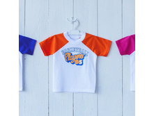 �������� ���.451