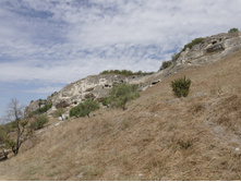 ����� ����