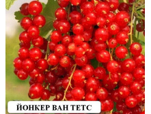 ��������� ������ ��� ���� �2-190�.jpg