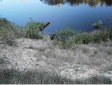 ����� �����