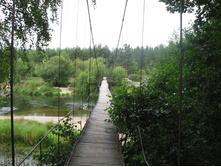 ���� ����� �����