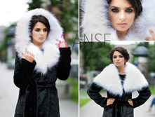 ����� Bright contrast - ���. 13bcr5.jpg