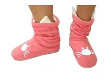 ���� �����