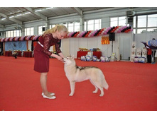 ���� - GRAFFSIBERIANS MIDGARD