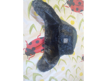 �� ��������� �������