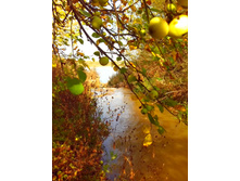 IMG 20150923 130836.jpg