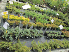 ����-�� � ������������ �� 300�