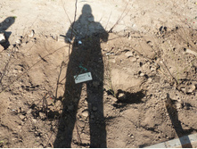 �������� (��� ���� �������, �� �� ��� �� ���� �� �����) =)