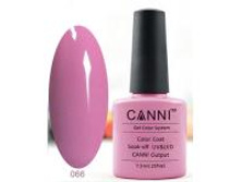 Gellak Shellac CANNI 66 min.jpg