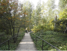 ������� �������� � ���������