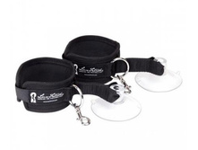 ��������� � ����������