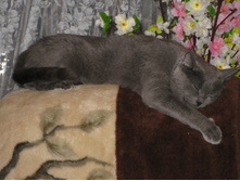 IMG 9691.JPG