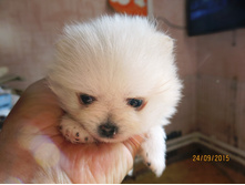 ���� 016.JPG